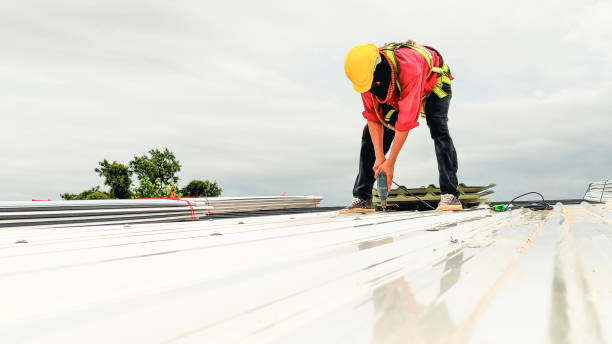Best Solar Panel Roofing Installation  in Oakboro, NC